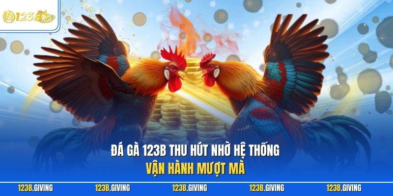 Đá gà 123B thu hút nhờ hệ thống vận hành mượt mà