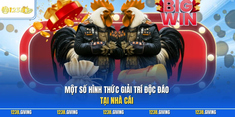 Một số hình thức giải trí độc đáo tại nhà cái