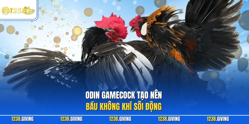 Odin Gamecock tạo nên bầu không khí sôi động 